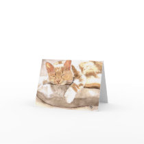 Cat Nap Notecard