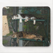 Cat Napping Mousepad