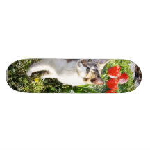 Cat Next To The Red Tulips On The Garden Skateboards
