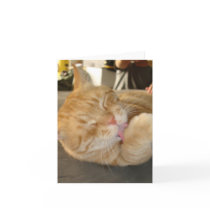CAT NOTE CARD-BLANK
