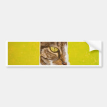 Cat on a piece of paper bumper stickers