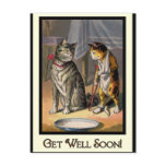 Cat on Crutches