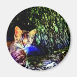 Cat on Oak Roots Magnet