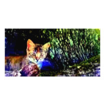 Cat on Oak Roots Custom Photo Card