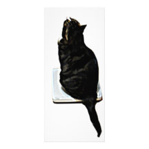 Cat on scales personalized rack card