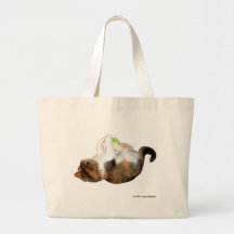 Cat on the Bag Instead of In the Bag