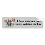 Cat Outside The Box Bumper Sticker