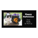 Cat & Pansies Halloween photo cards