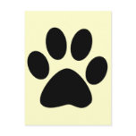 Cat Paw Print Postcard