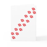 Cat Paws cards