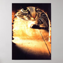 Cat Peering Into Mouse Hole Print
