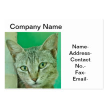 Cat/Pet portrait Business Card Templates