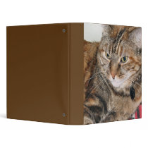 cat photo vinyl binder
