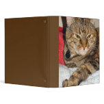 cat photo 3 ring binders