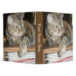 cat photo vinyl binders