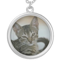 Cat Photo Necklace