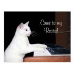 Cat piano recital post cards