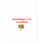 cat post card