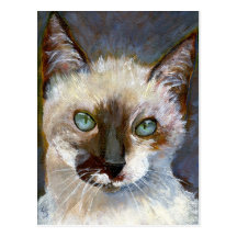 Cat Postcard
