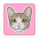 Cat power - square pink sticker