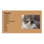 Cat 'Red' portrait Business Cards