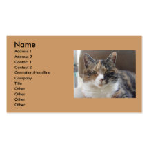 Cat 'Red' portrait Business Cards