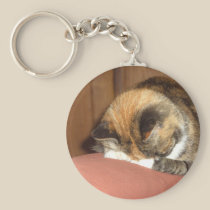 Cat 'Red' sleeping on the cough keychains
