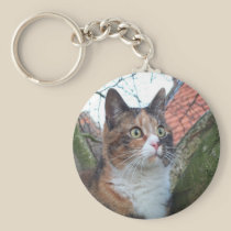 Cat 'Red' with big eyes keychains