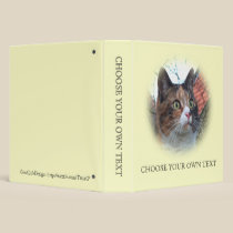 Cat 'Red' with big eyes binders
