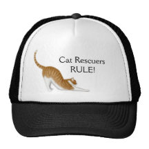 Cat Rescuers Rule Mesh Hat