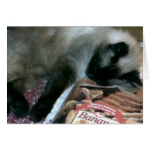 Cat Resting On Cookbook Card