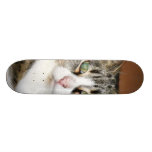 Cat Resting Skateboard Decks