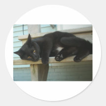 Cat Round Sticker