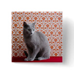 Cat (Russian blue) and wallpaper background Pinback Button