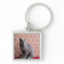 Cat (Russian blue) and wallpaper background Keychains