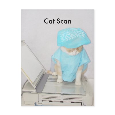 Cat Scan by myrtieshuman