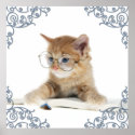 Cat Scholar posters