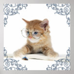Cat Scholar