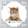 Cat Scholar