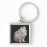 Cat sitting on black background, close-up key chains