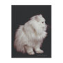 Cat sitting on black background, close-up post cards