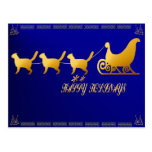 Cat Sled card Post Card