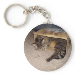 Cat sleeping in box keychain
