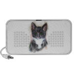 cat speakers