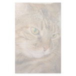Cat Customized Stationery