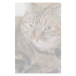 Cat Custom Stationery