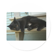 Cat Round Sticker