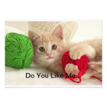Cat style invitation