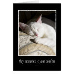 Cat Sympathy Loss of Pet Card