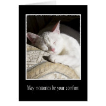 Cat Sympathy Loss of Pet Card